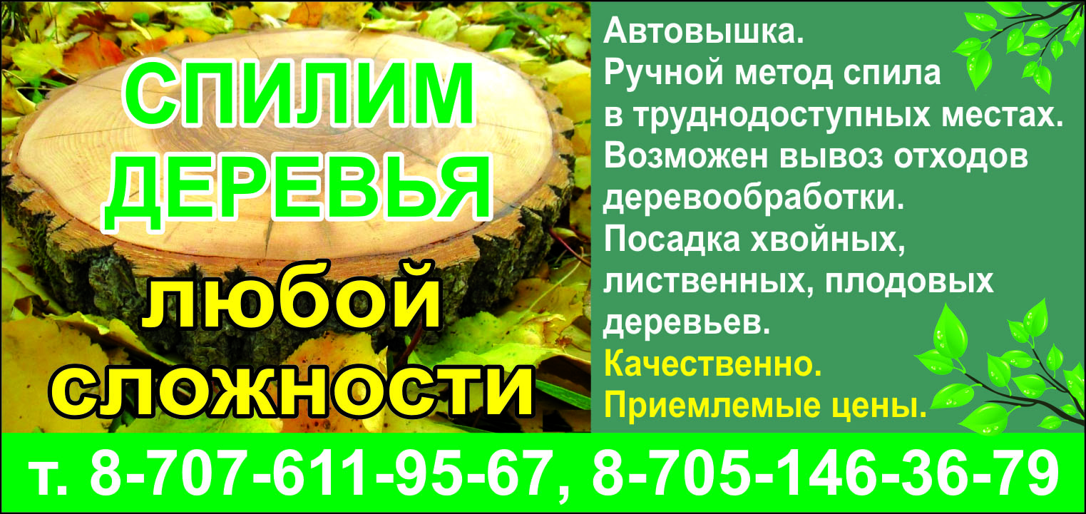 Спилим деревья