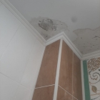 Мелкий ремонт, покраска, побелка