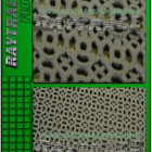 Грязезащитное напольное покрытие антикаблук “F-COMBO”