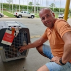 Перевозка животных в Америку и Европу