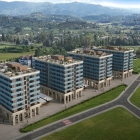 Пространство для жизни в гармонии