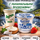 Готовый бизнес "под ключ": производство йогурта, сметаны и турецкого айрана!